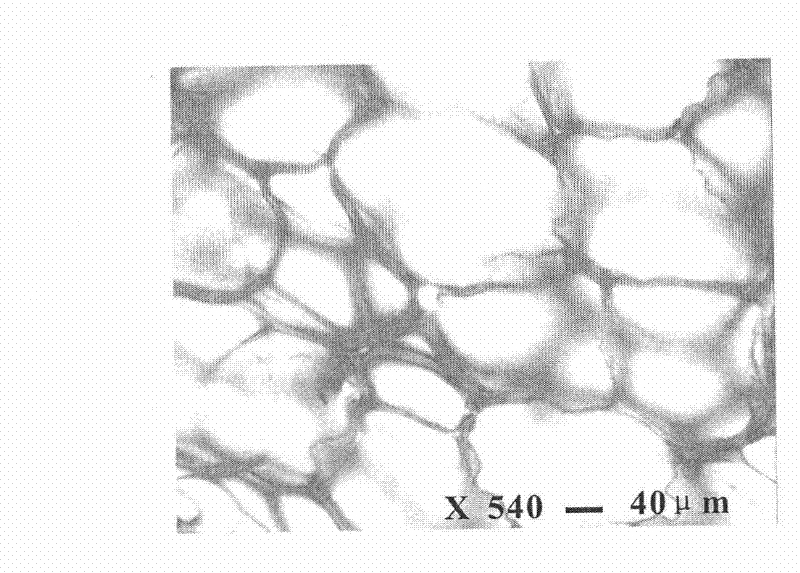 Crystalline high polymer physical foaming material preparation method