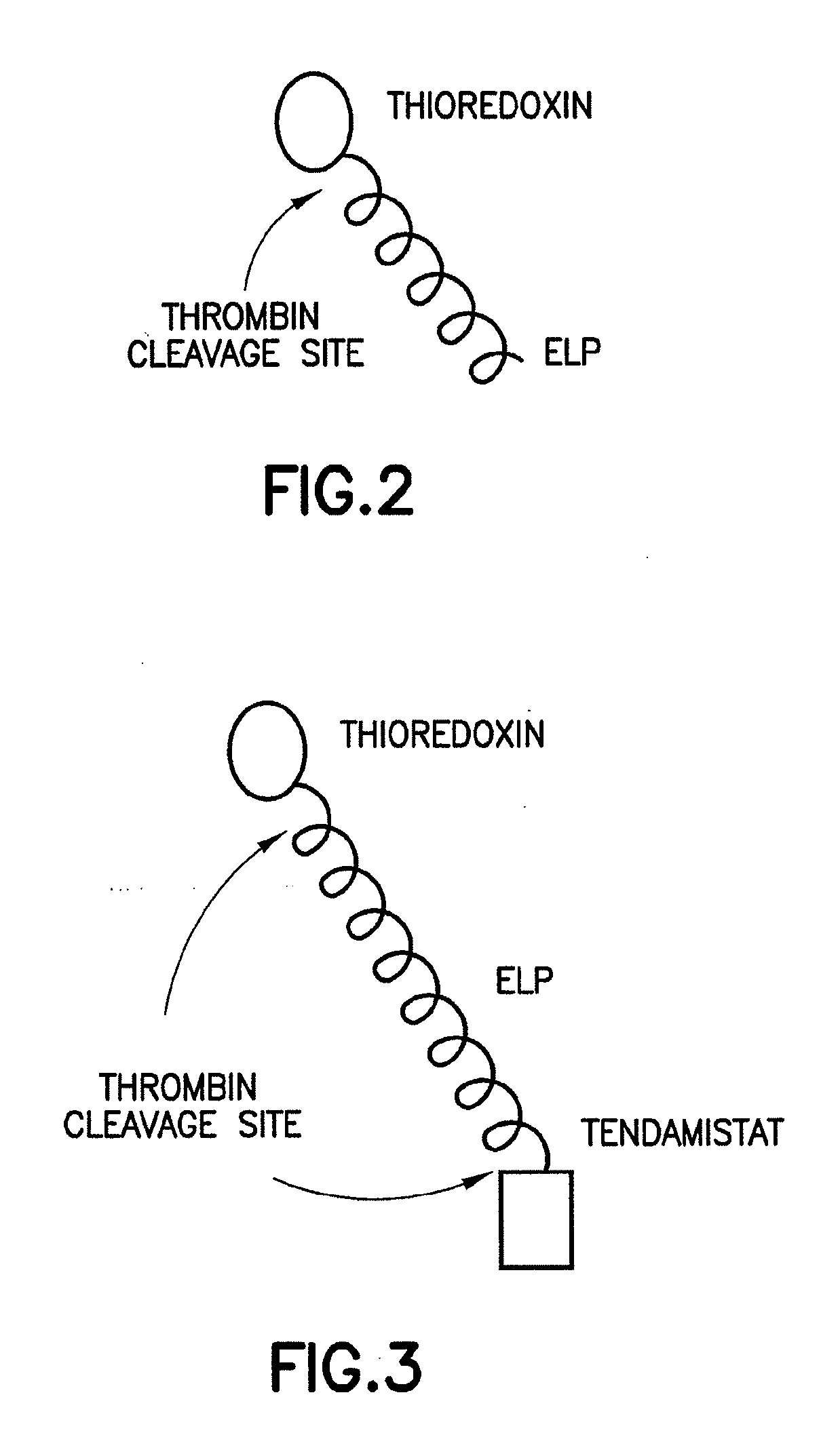 Pharmaceutical compositions comprising elp fusion proteins