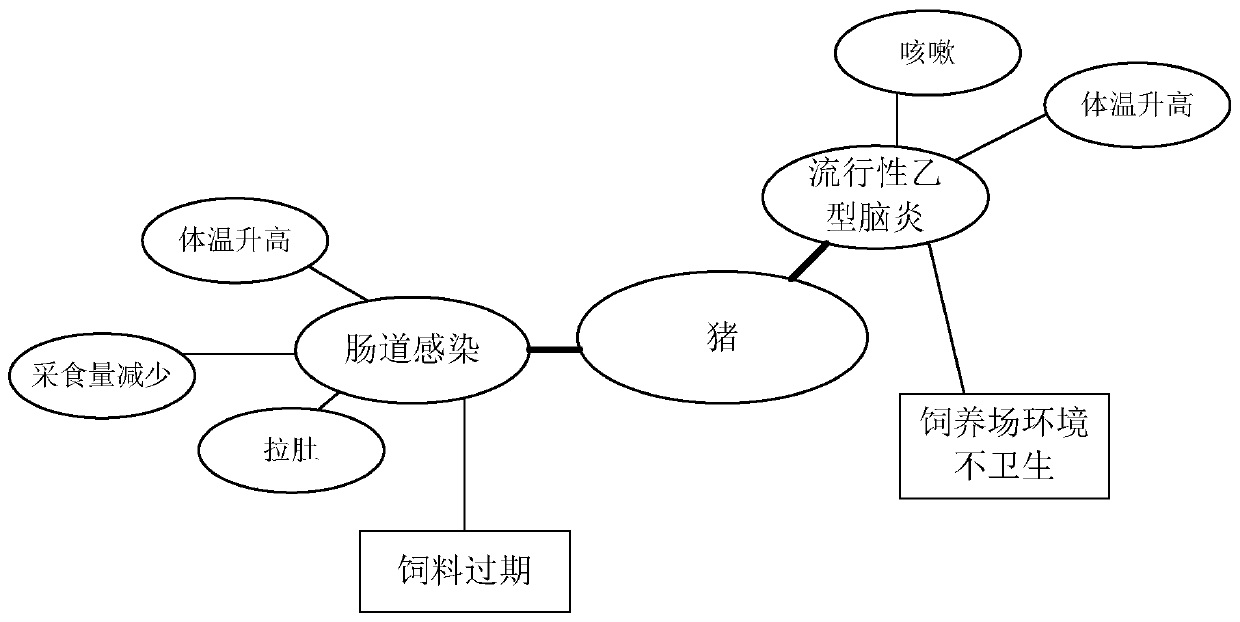 Object disease query method and device, storage medium and electronic device