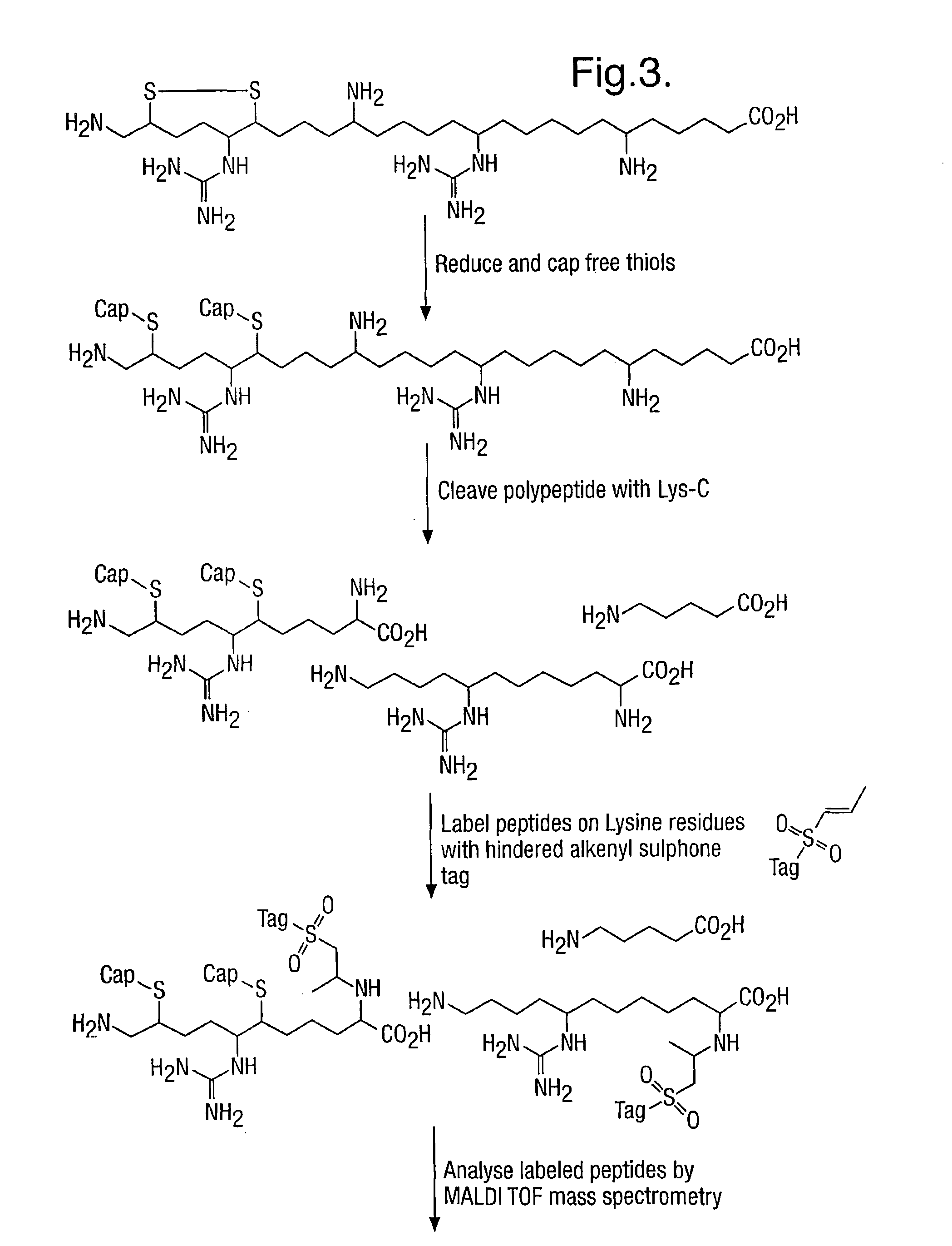 Method for characterizing polypeptides
