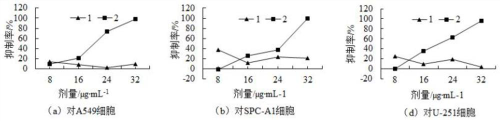 Application of photosensitized oxidized zingiberaceae plant extract in antibacterial and antitumor drugs
