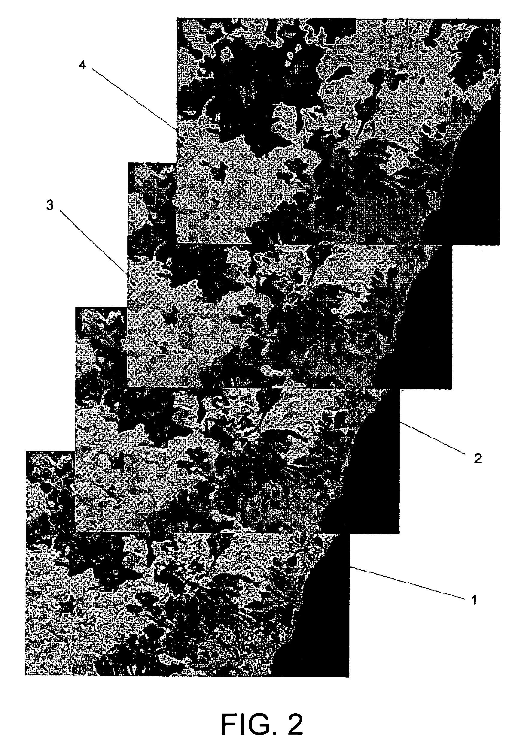 Method for processing data structures