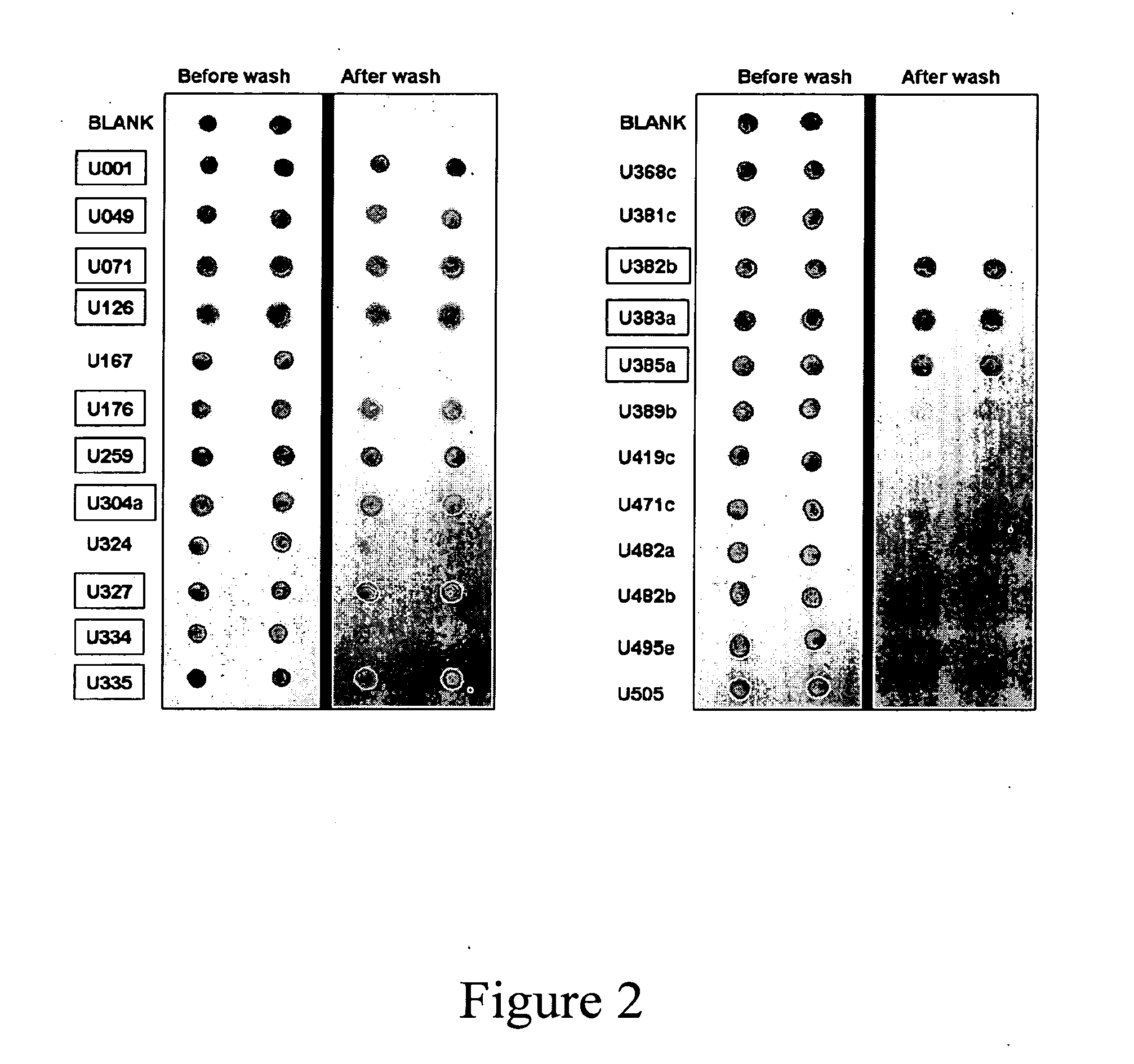 Methods and compositions for the detection and treatment of preeclampsia