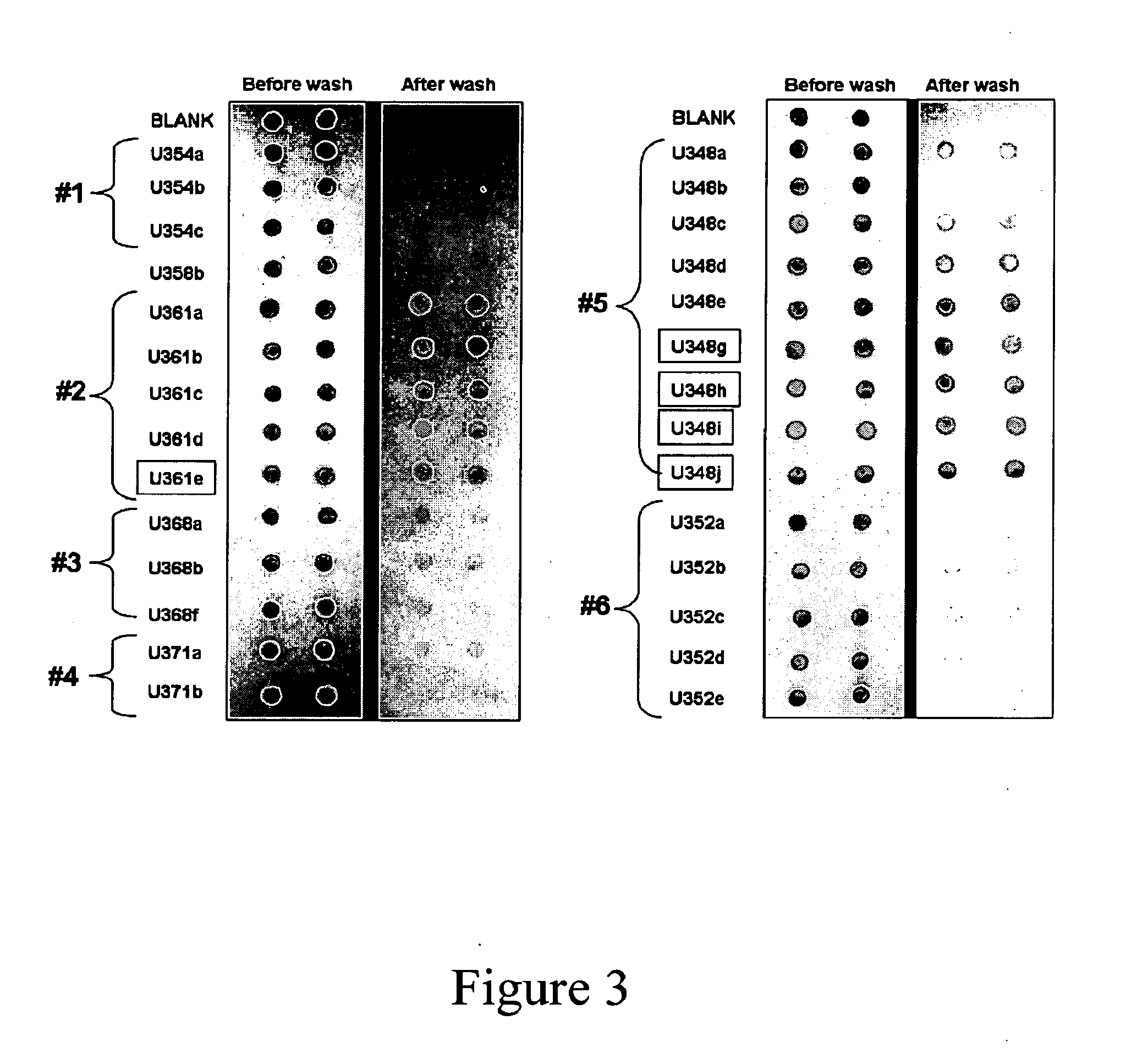 Methods and compositions for the detection and treatment of preeclampsia