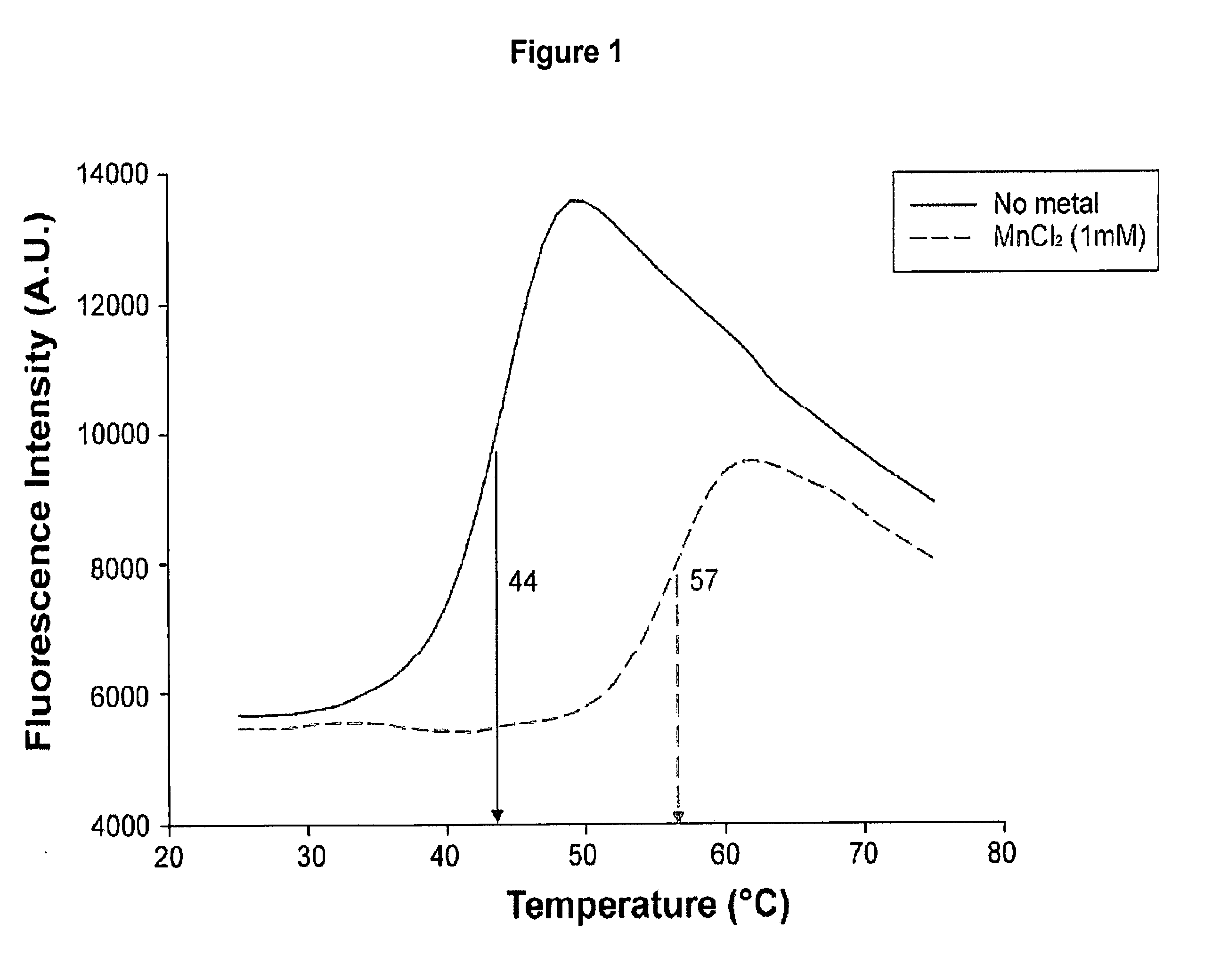 Polypeptide Fragments Comprising Endonuclease Activity and Their Use