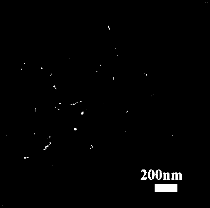 Carbon-layer-coated nano iron having butterfly wing microscopic structure and preparation method thereof