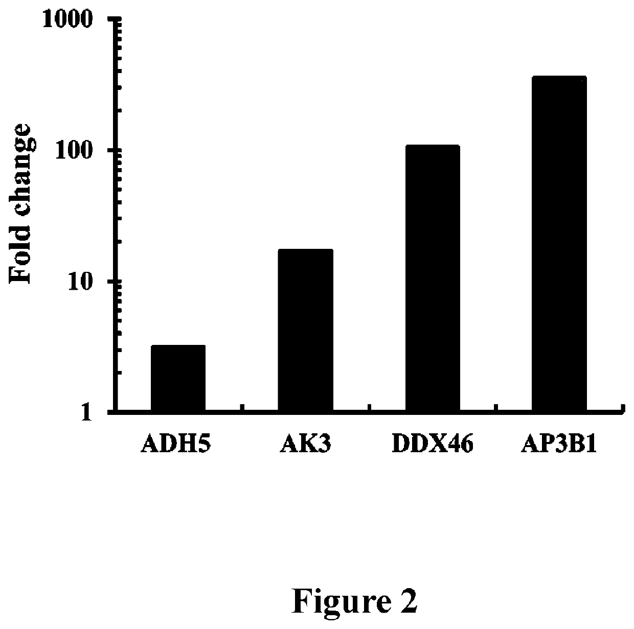 Biomarkers of chronic lymphocytic leukemia and use thereof