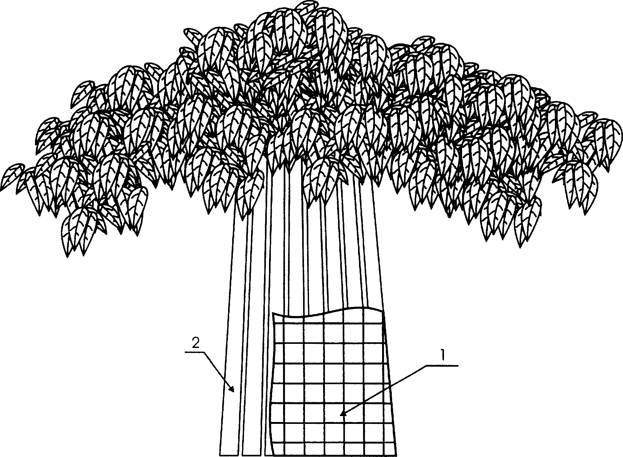 Banyan framework cultivating method