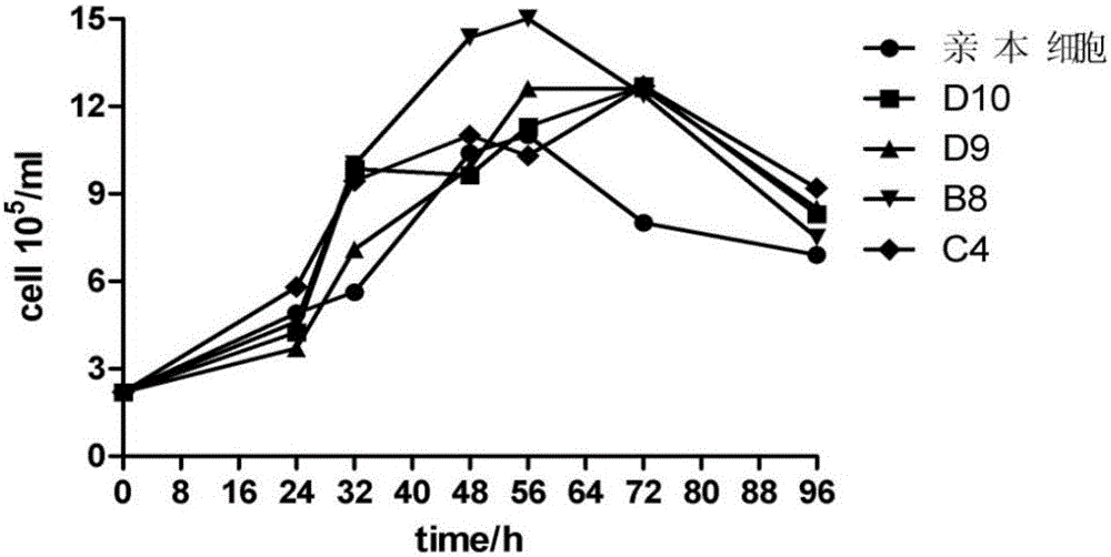 High-adaptability HEK293 clonal cell strains for recombinant adenovirus vaccine strains and application of high-adaptability HEK293clonal cell strains