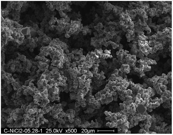 Preparation method of nickel oxide powder