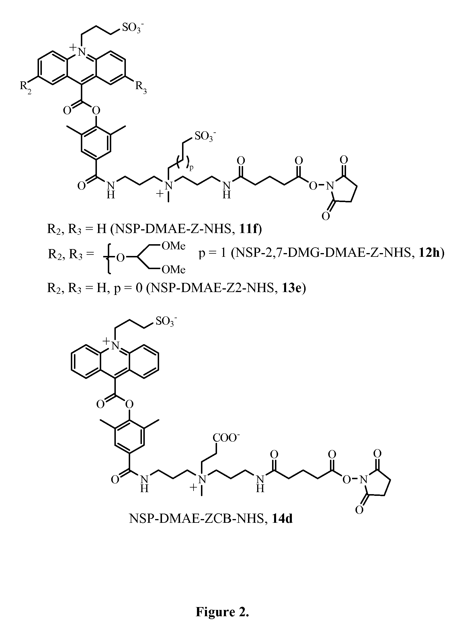 Zwitterion-containing acridinium compounds