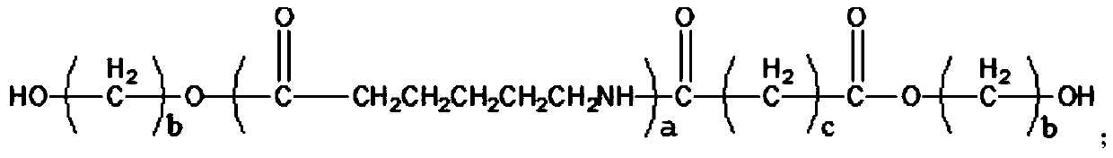 A kind of bio-based degradable polyamide 6 copolymer and preparation method thereof