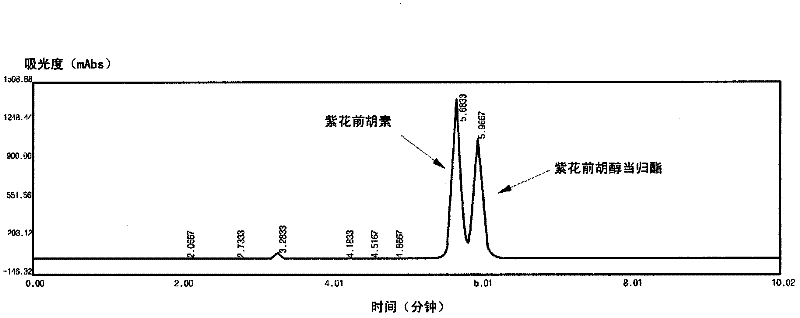 Composition for treating gout containing Angelica Korean angelica extract having xanthine oxidase inhibitory effect and inflammation-inducing enzyme inhibitory effect