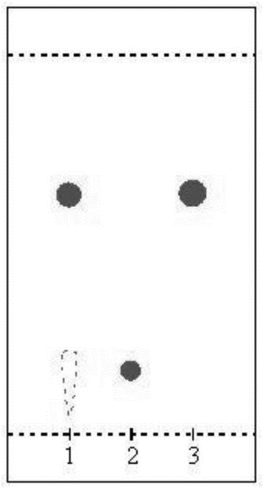 Method for identifying andrographolide in lotus kernel antiphlogistic dropping pill