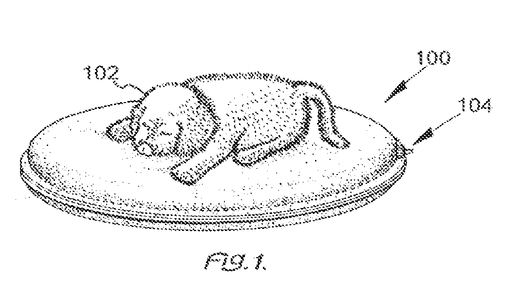 Fluid-filled durable pet bed