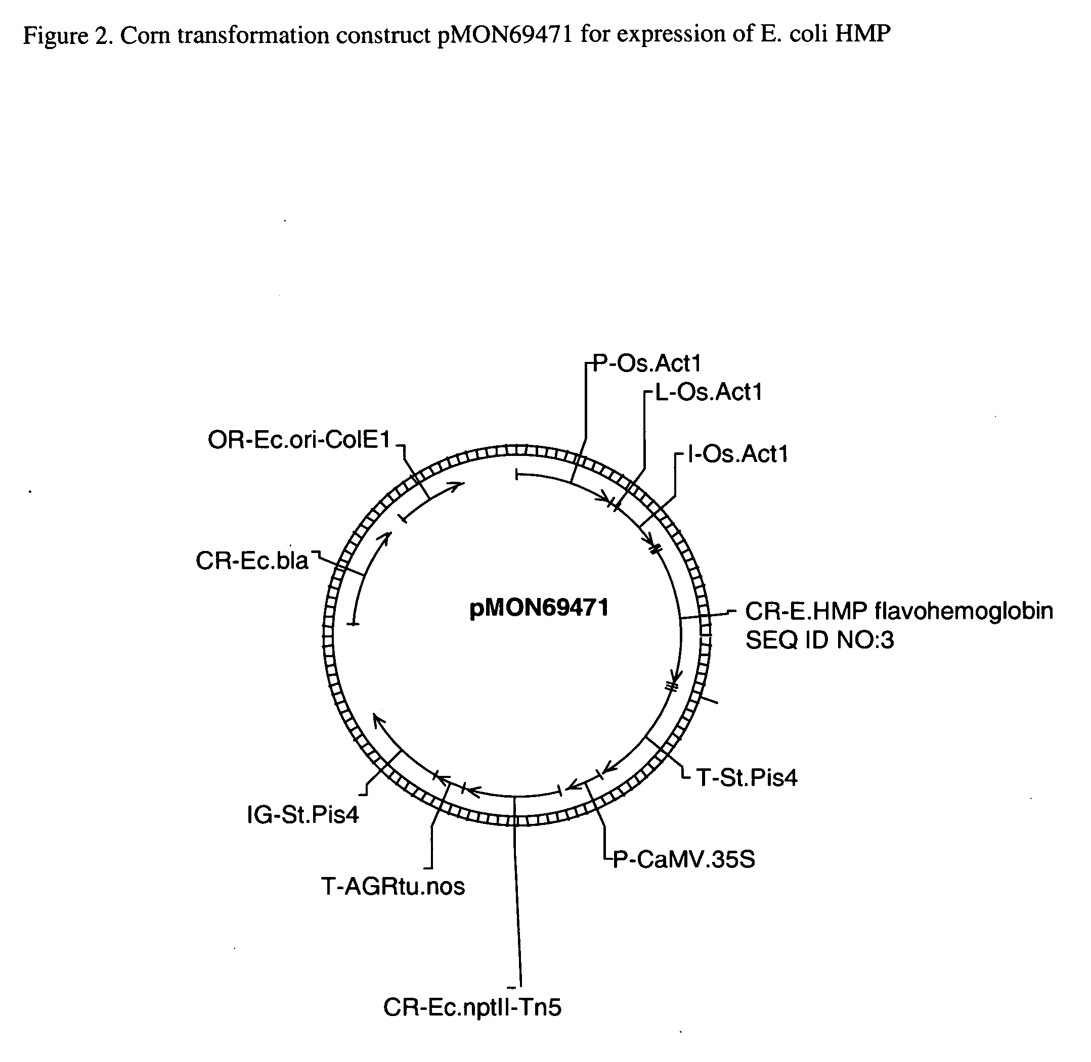 Plants containing a heterologous flavohemoglobin gene and methods of use thereof