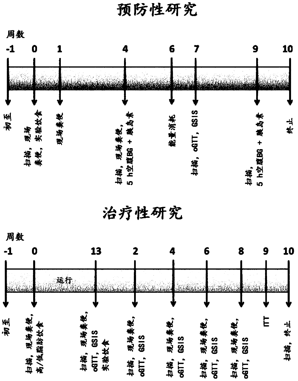 Maturation of mucosal defense and gut/lung function in the preterm infant