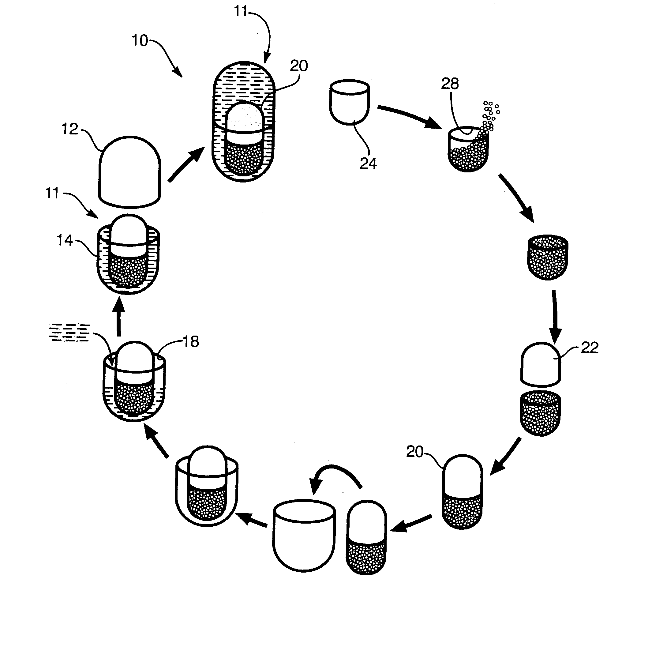 Multi-phase, multi-compartment capsular delivery apparatus for therapeutic compositions and methods for using same