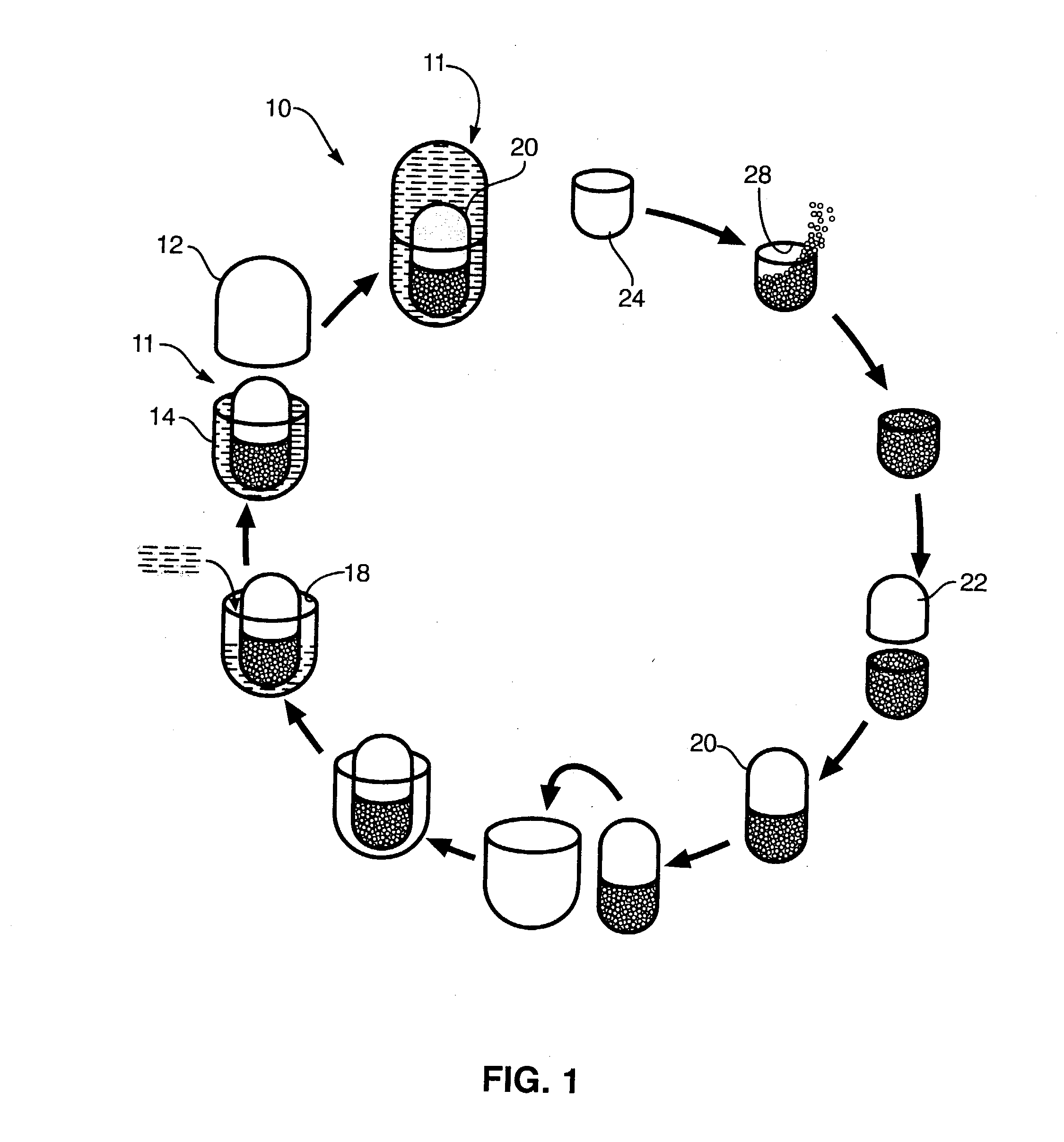 Multi-phase, multi-compartment capsular delivery apparatus for therapeutic compositions and methods for using same