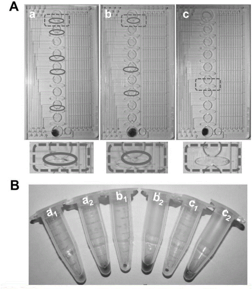 Integrated ELISA (Enzyme-Linked Immuno Sorbent Assay) chip based on distance detection targets and detection method thereof