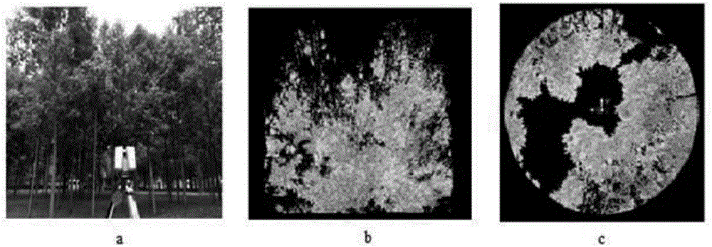 Method for extracting vegetation canopy aggregation degree index based on three-dimensional laser point cloud
