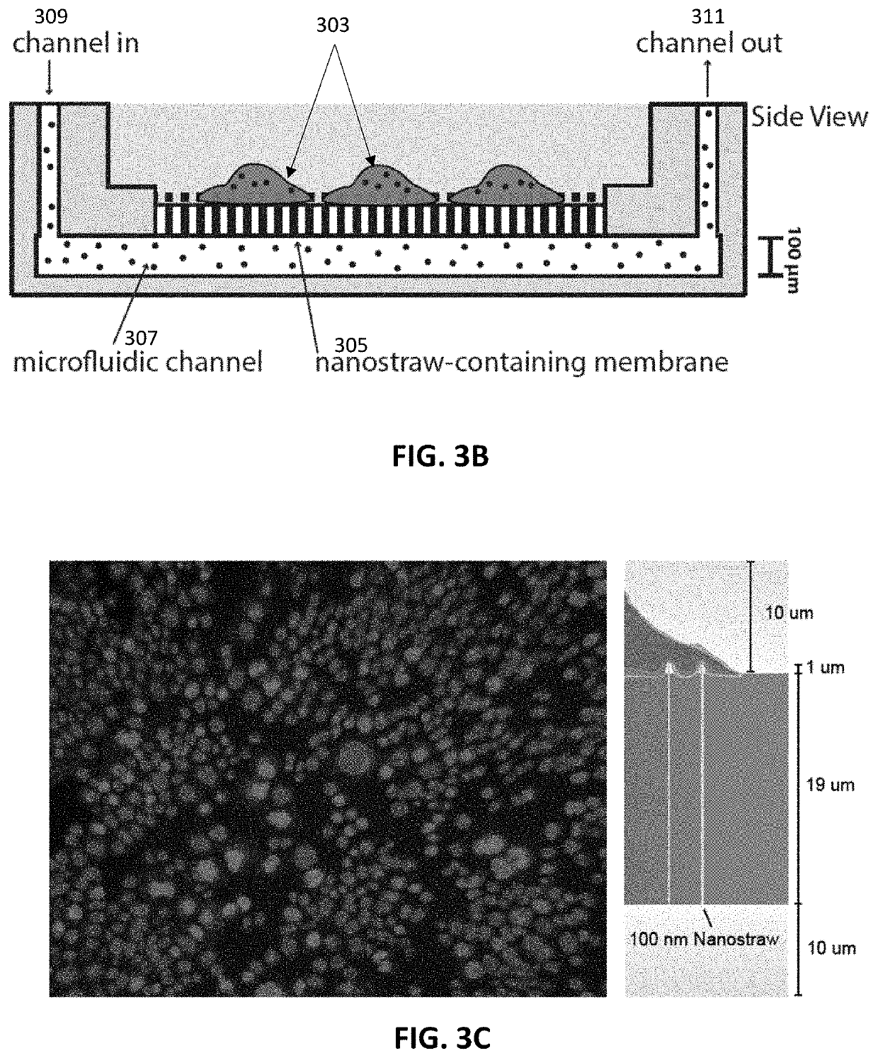 Nanostraws methods and apparatuses