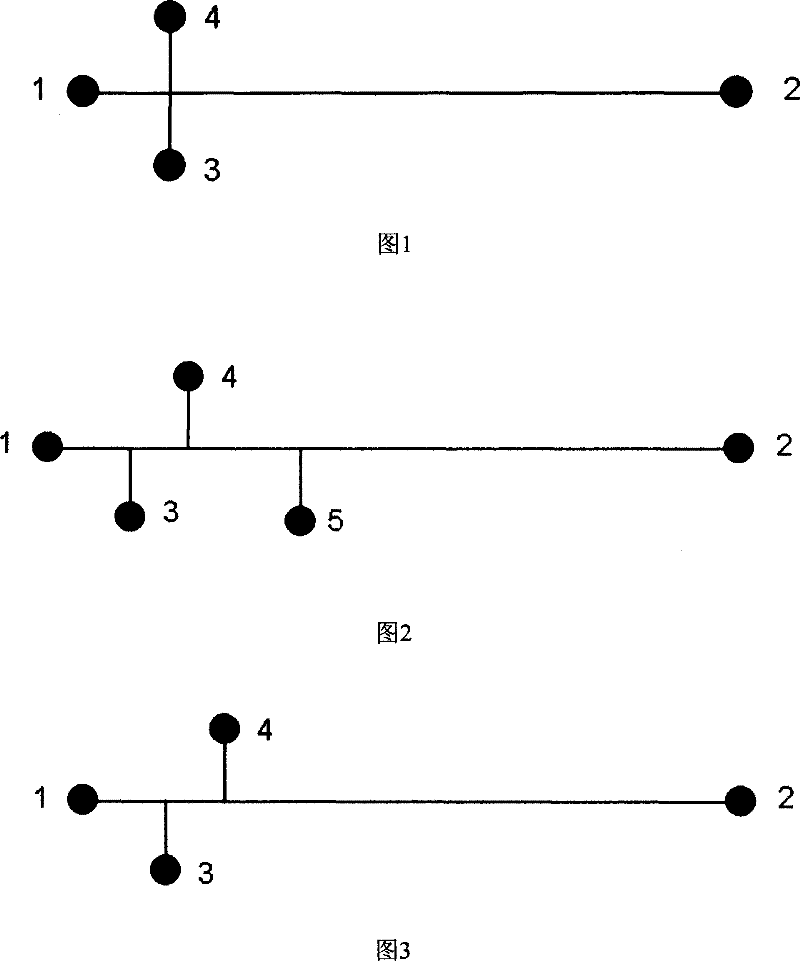 A functionalized microfluidic chip and its method for PCR product analysis