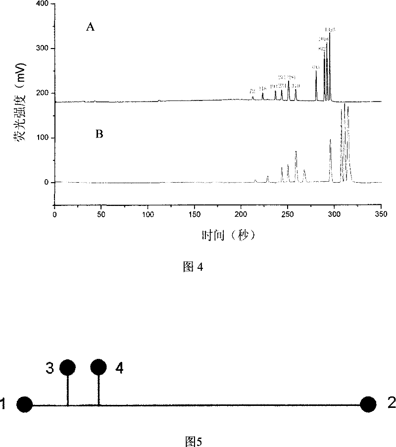 A functionalized microfluidic chip and its method for PCR product analysis