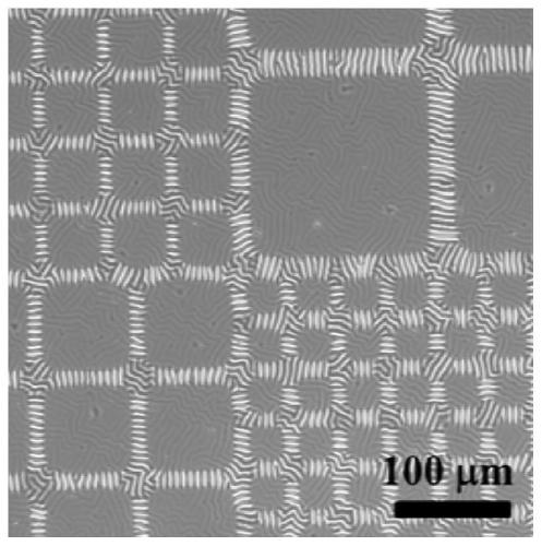 A controllable preparation method of photoresponsive surface wrinkle microstructure