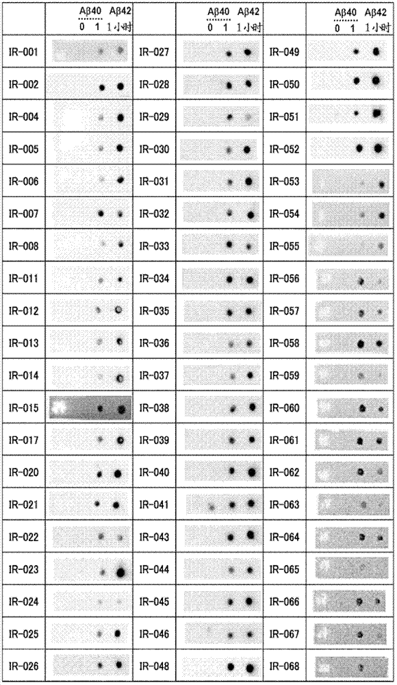 Antibodies specifically binding to aβ oligomers and uses thereof