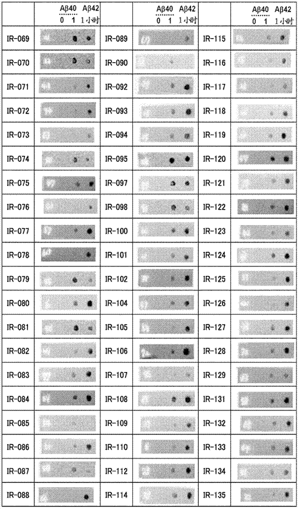 Antibodies specifically binding to aβ oligomers and uses thereof