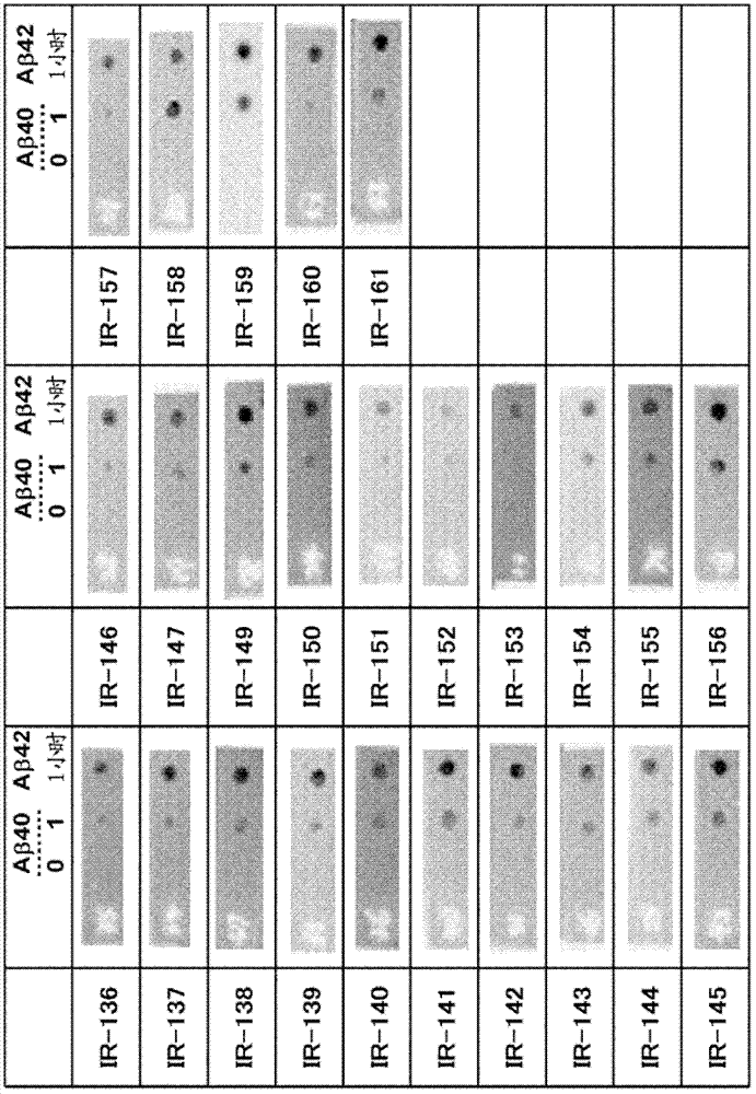 Antibodies specifically binding to aβ oligomers and uses thereof