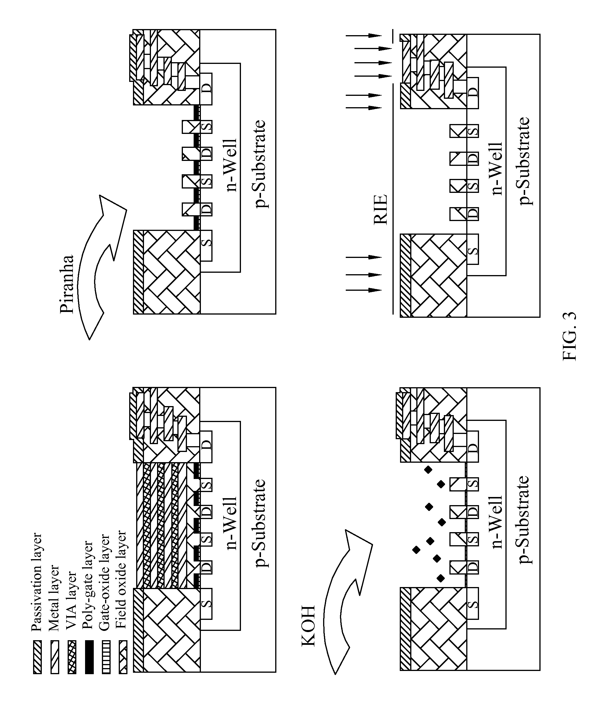 Field-effect transistor type biosensor and bio-signal amplification method thereof