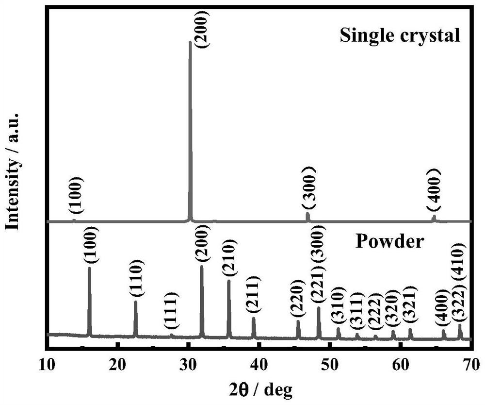 Methylamino metal halide perovskite single crystal with preferred orientation for large-size high-quality radiation detector and preparation method of methylamino metal halide perovskite single crystal