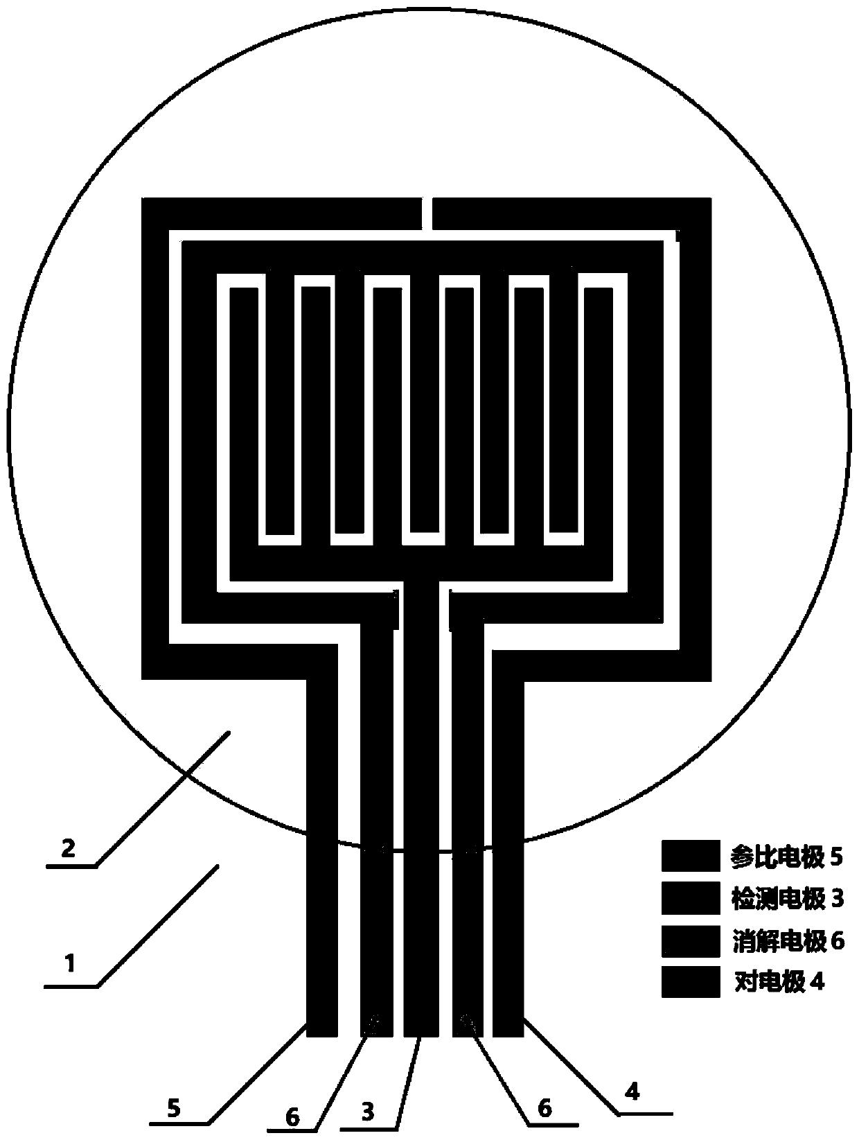 Water sample heavy metal detection device and method and micro-nano sensor