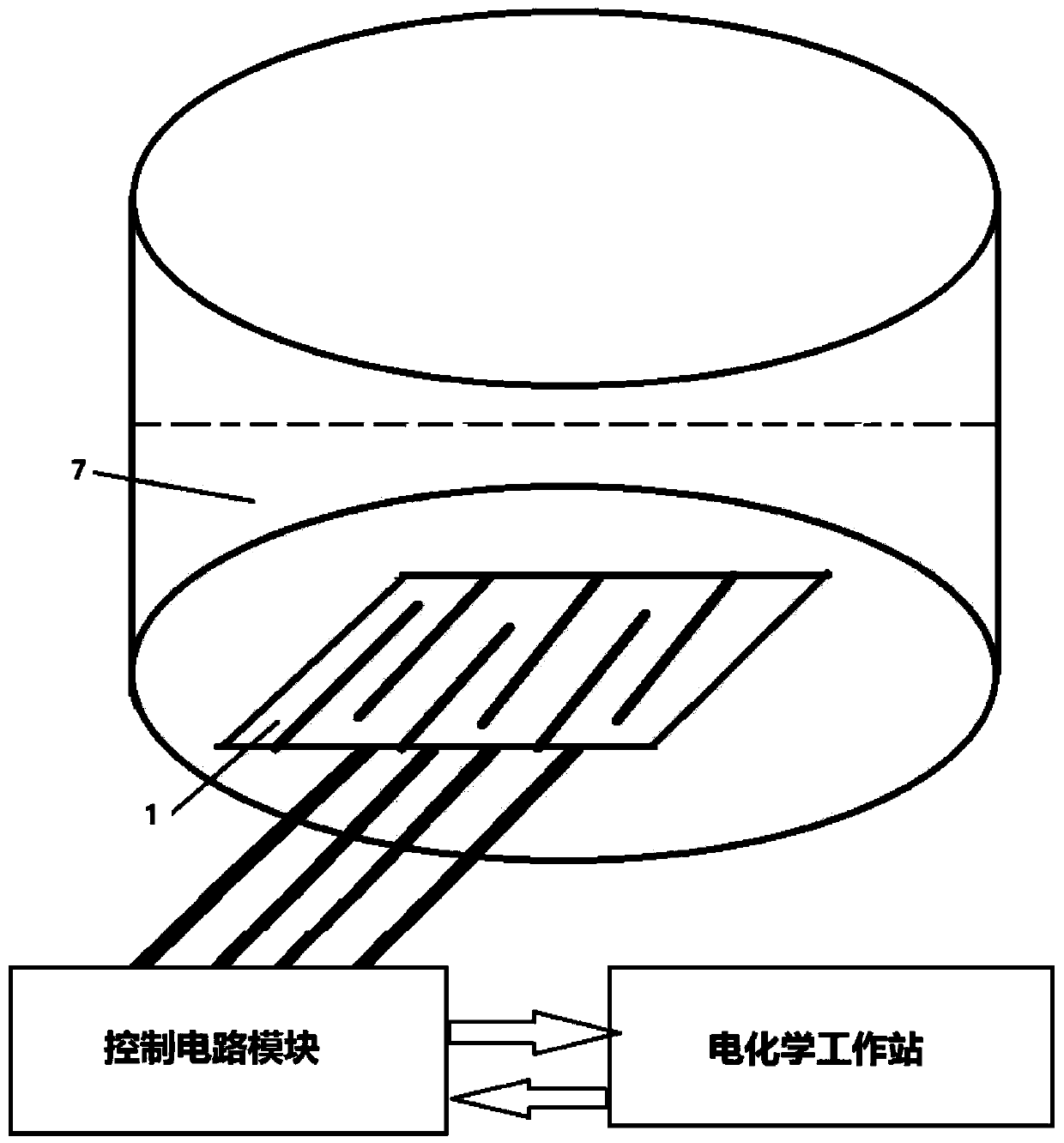 Water sample heavy metal detection device and method and micro-nano sensor