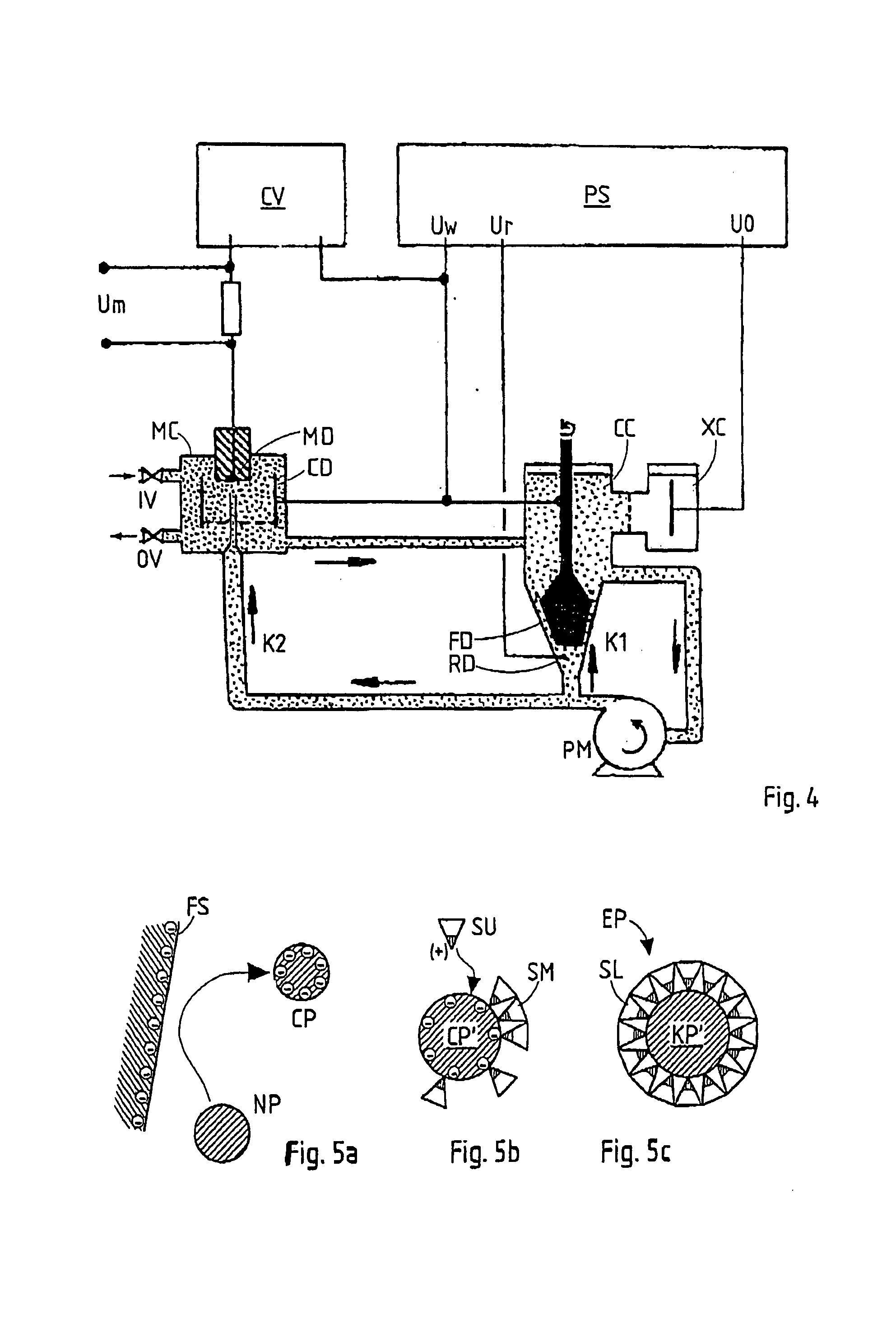 Method of depositing S-layer proteins on a carrier to immobilize functional molecules