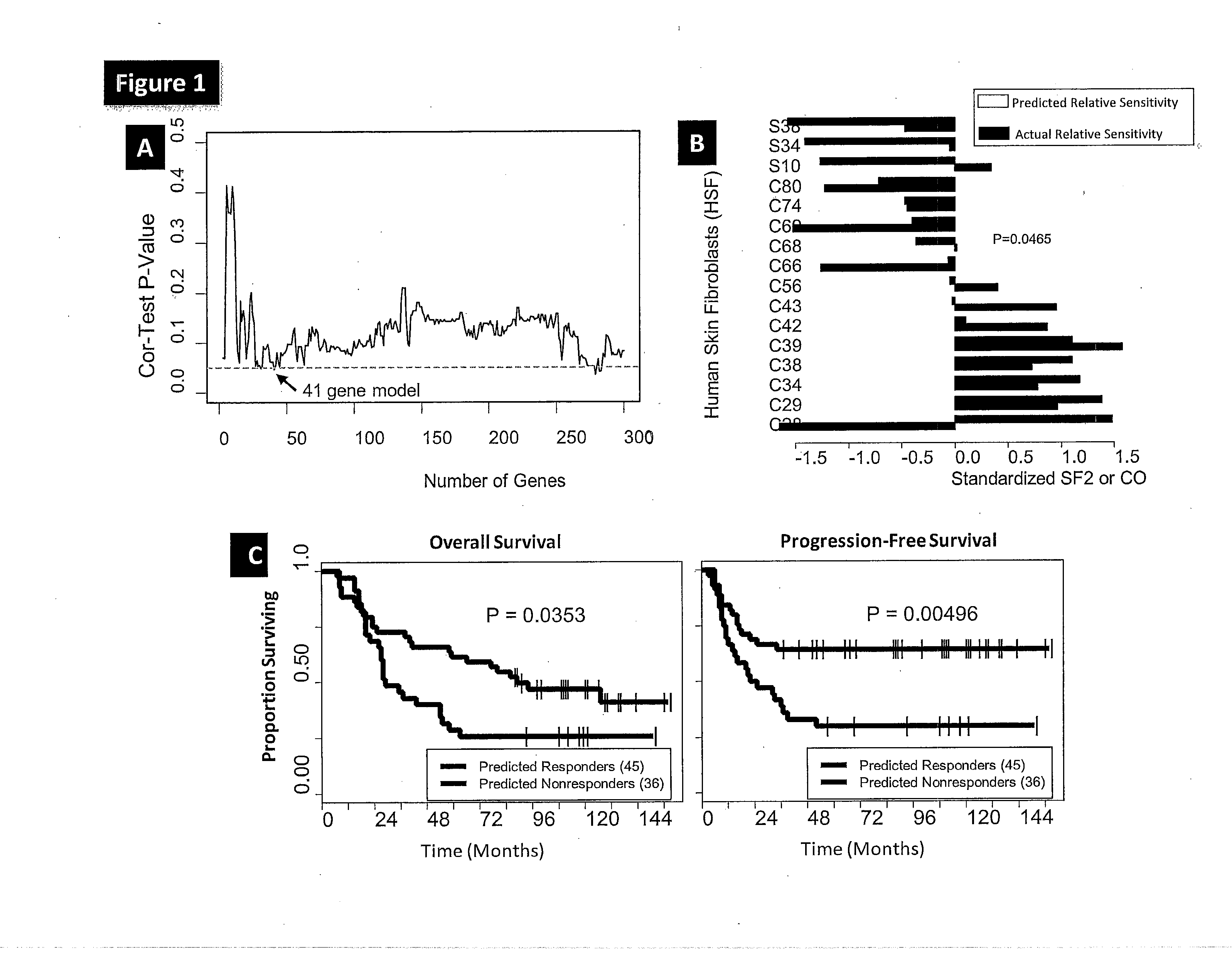 Methods for Prediction of Clinical Response to Radiation Therapy in Cancer Patients