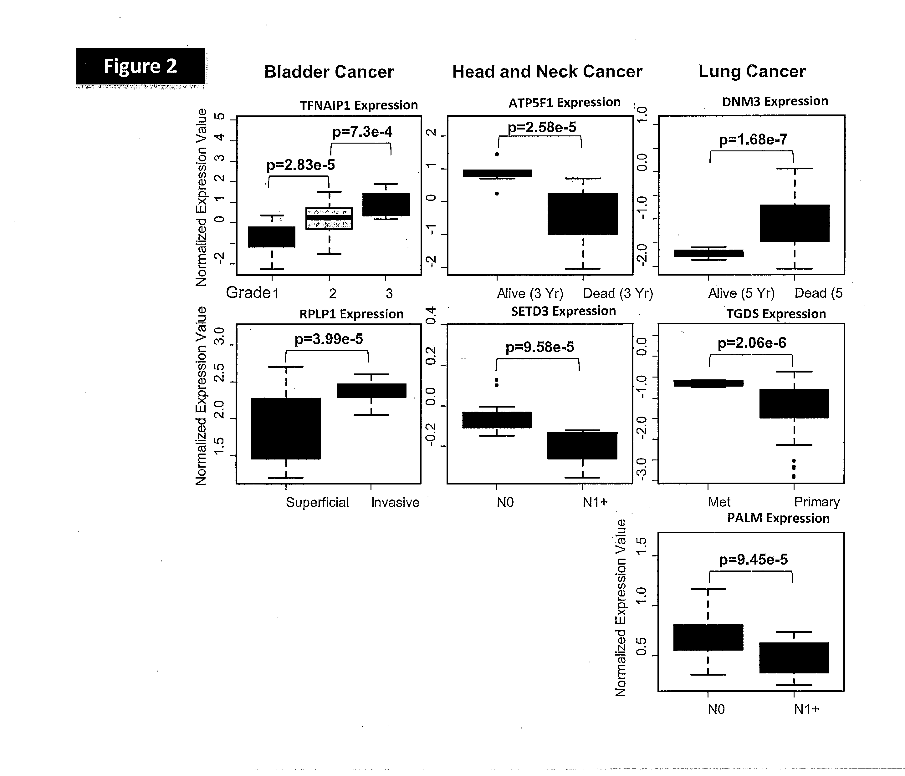 Methods for Prediction of Clinical Response to Radiation Therapy in Cancer Patients