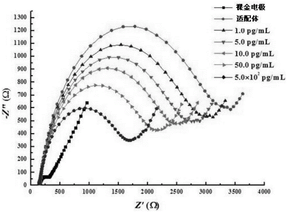 Clonpamine aptamer and an aptamer electrochemical biosensor for detecting clonbamine