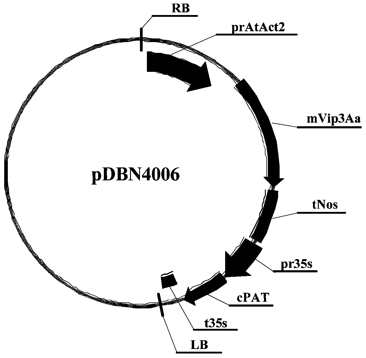 Nucleic acid sequence for detecting soybean plant DBN8002 and detection method thereof
