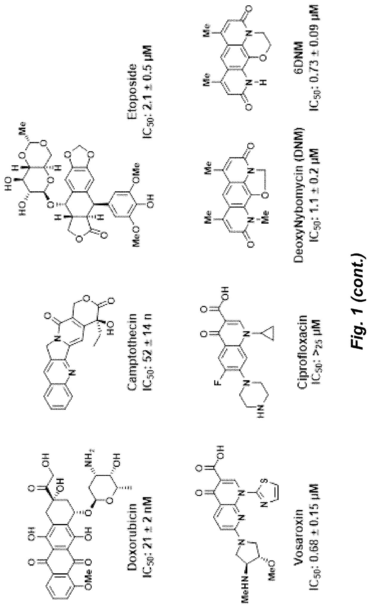 Topoisomerase inhibitors with antibacterial and anticancer activity