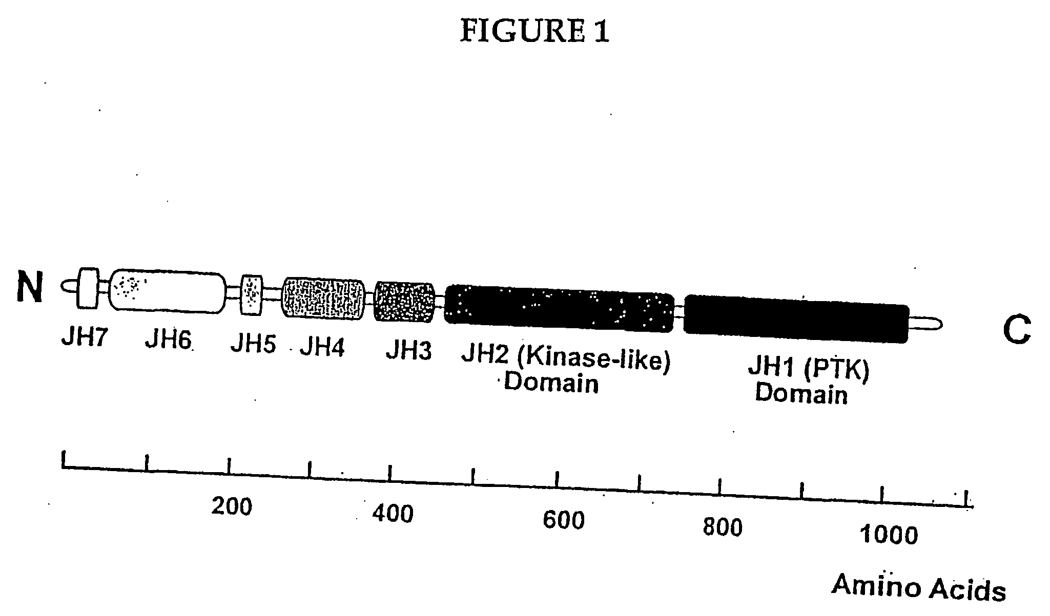 Protein kinase signalling