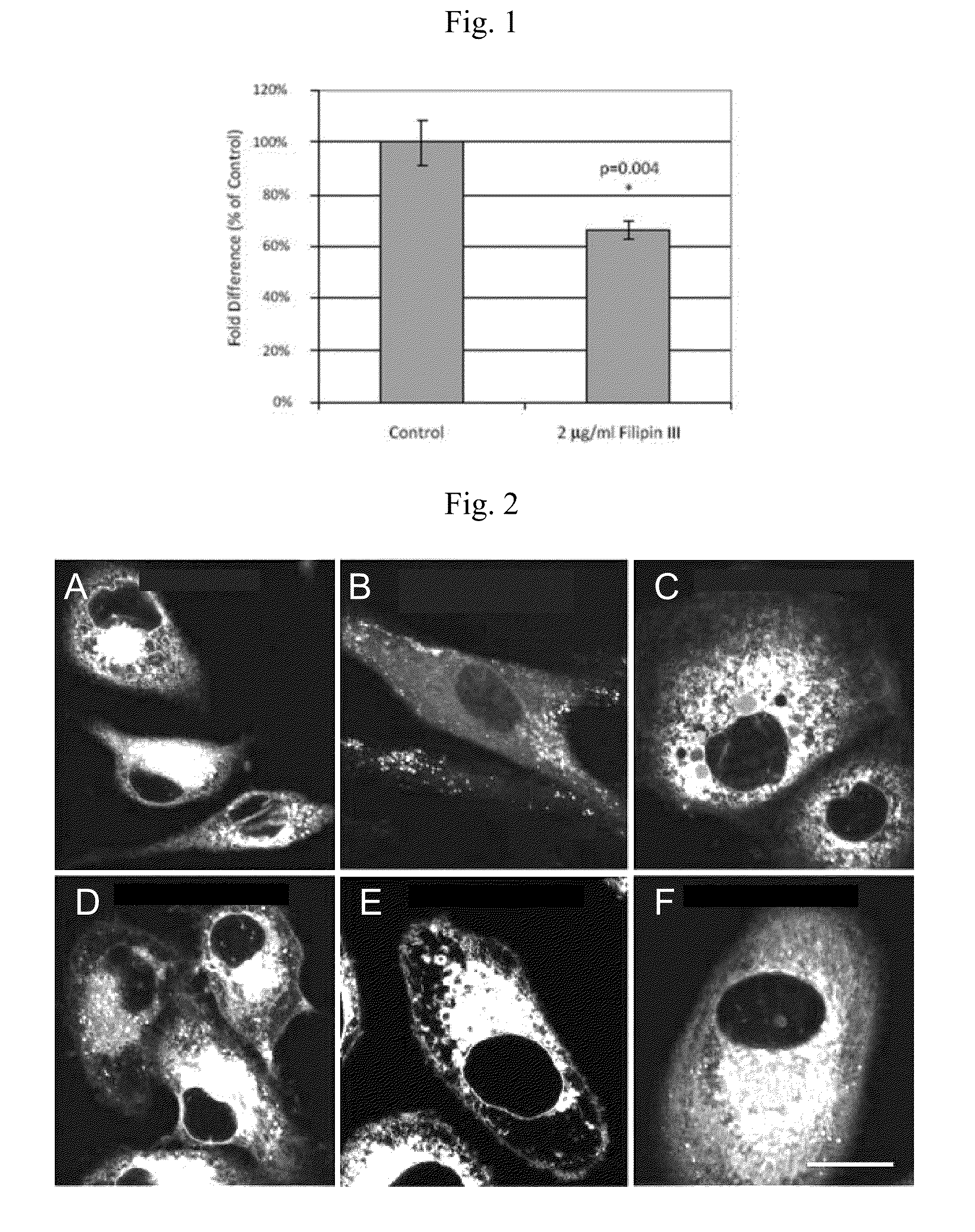 Phospholipid Ether Analogs as Cancer-Targeting Drug Vehicles