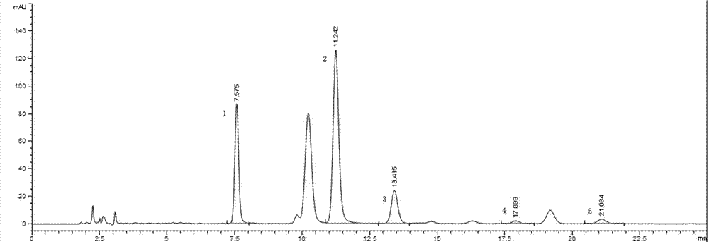 Dendrobium officinale extract as well as preparation method and application thereof