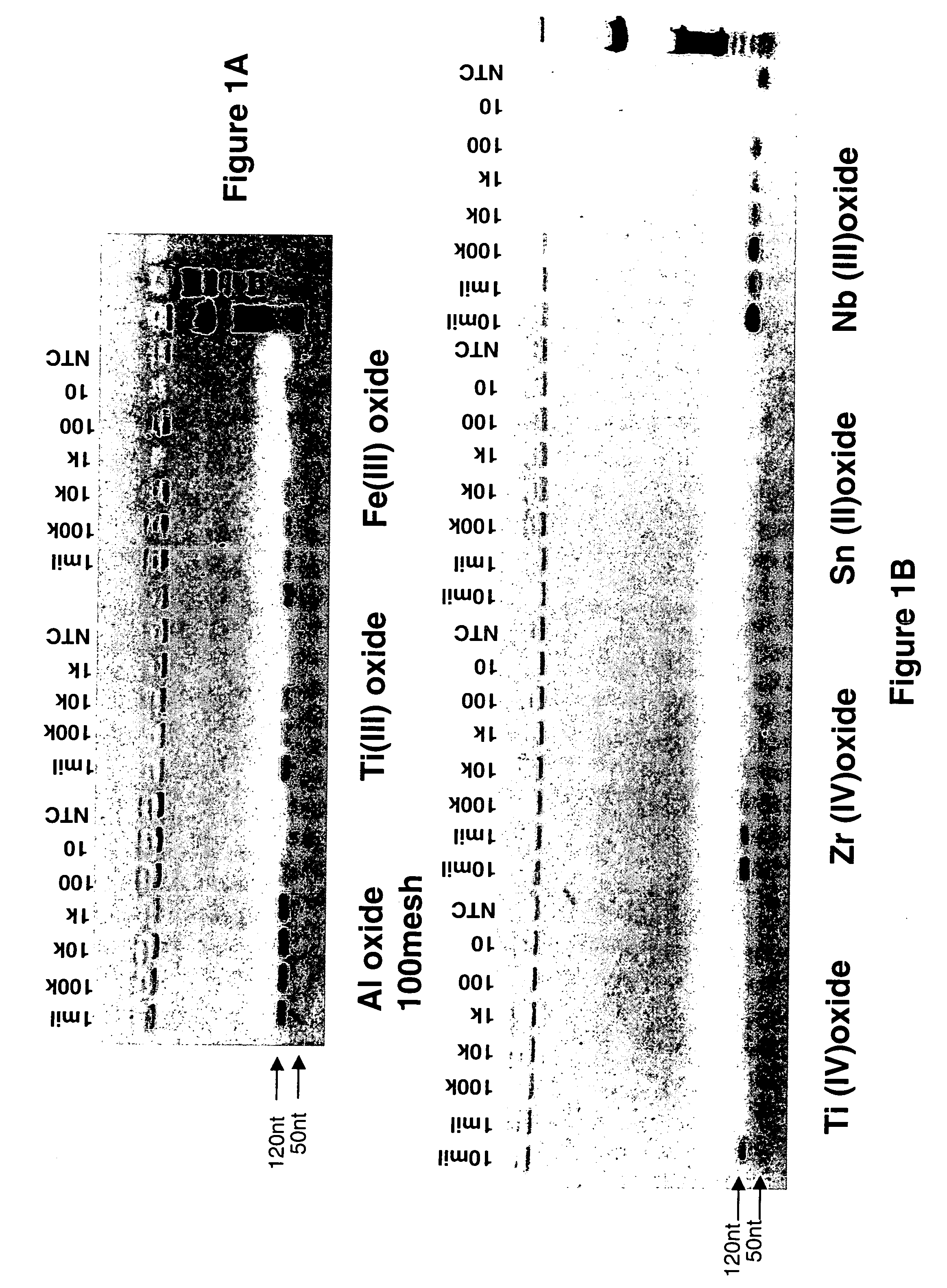 Methods, compositions, and kits for detecting nucleic acids in a single vessel