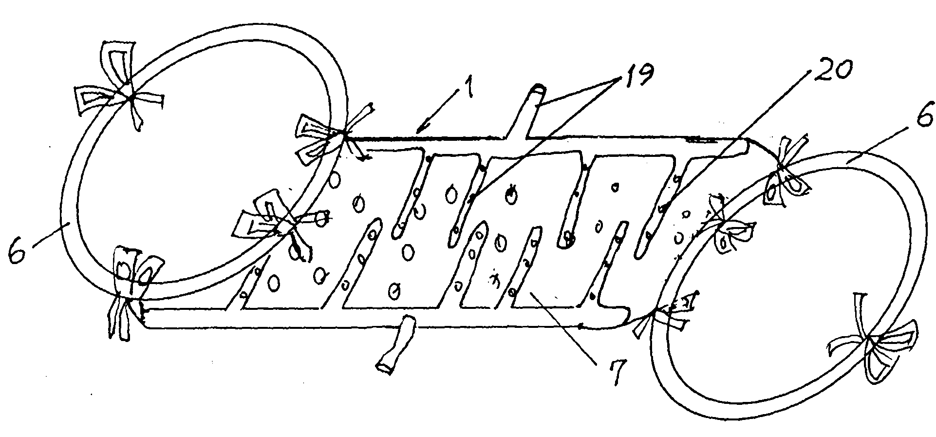 Device for cleaning pig body with bracket