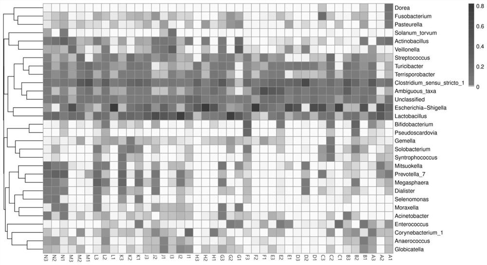 A kind of feed for improving microbial diversity of pig gut and its application