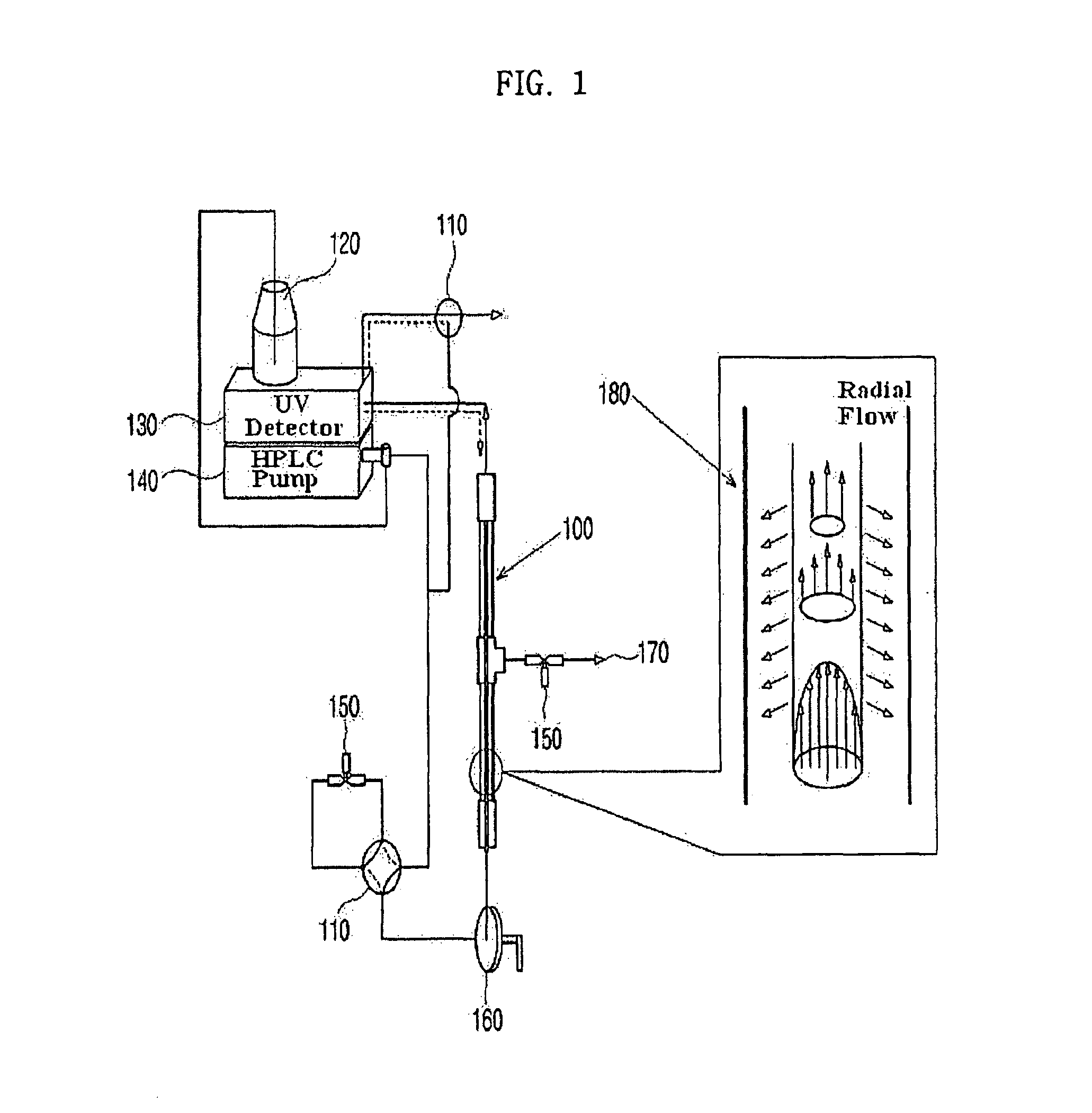 Apparatus for protein separation using capillary isoelectric focusing-hollow fiber flow field flow fractionation and method thereof