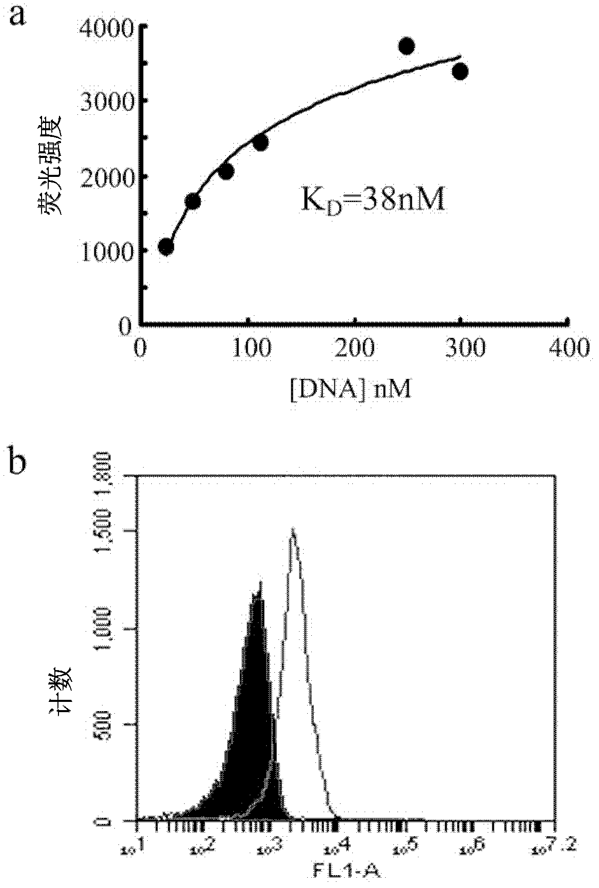 MUC1 protein nucleic acid aptamer, complex, composition and purposes thereof